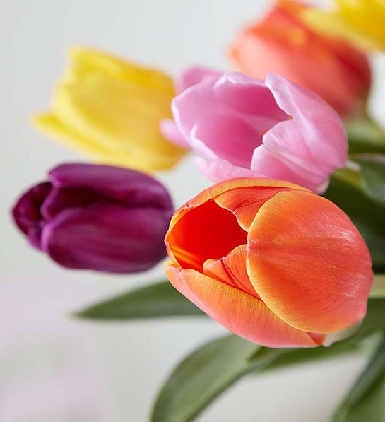 Assorted tulip bouquet