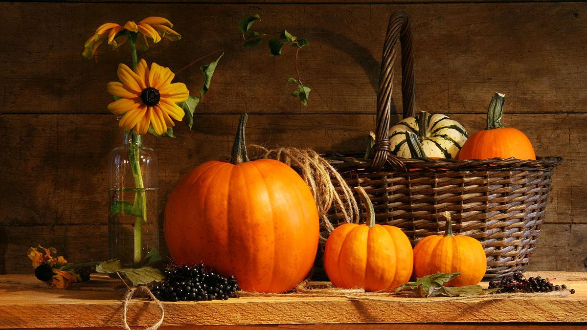 Article Cards Featured Image Autumn still life with pumpkins and flowers