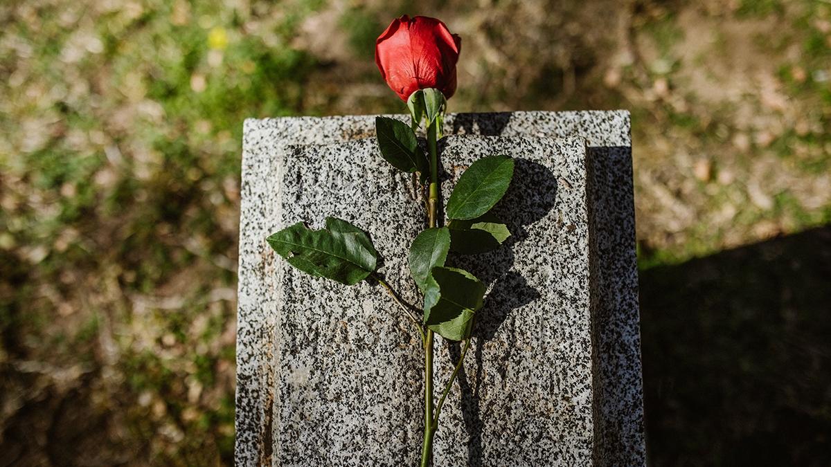 Article Cards Featured Image A photo of a rose against a headstone at a cemetery.