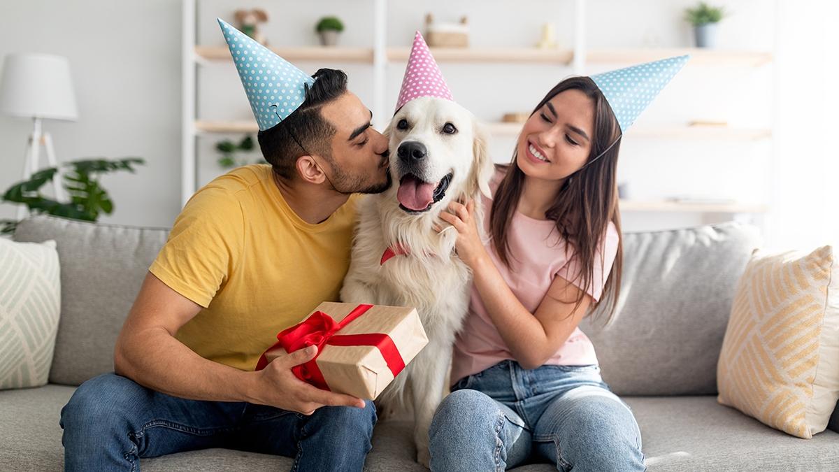gifts for pets hero