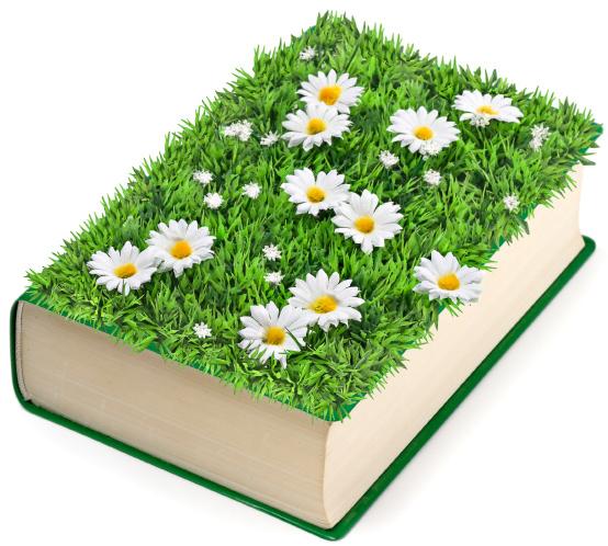 flowers in literature book with flowers