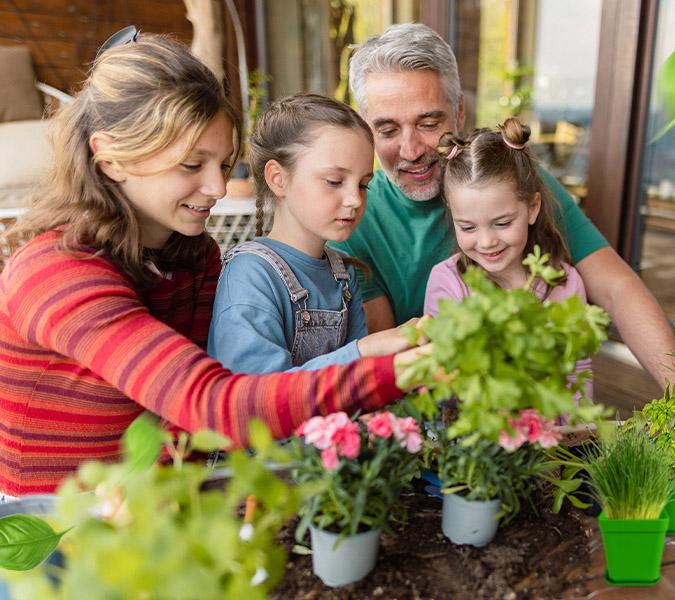 how to grow herbs indoors family planting herbs