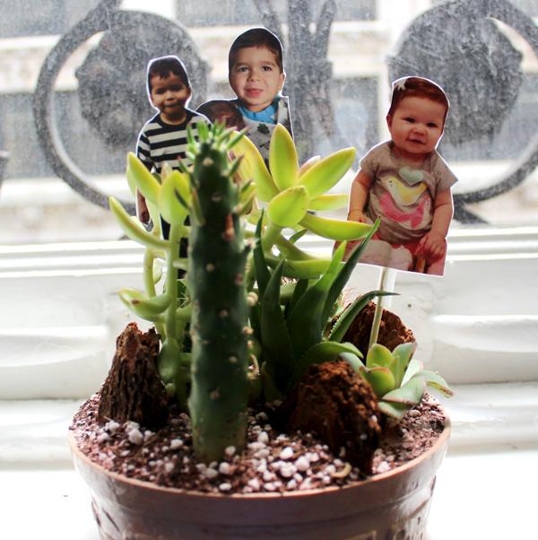 diy fathers day gifts photo terrarium