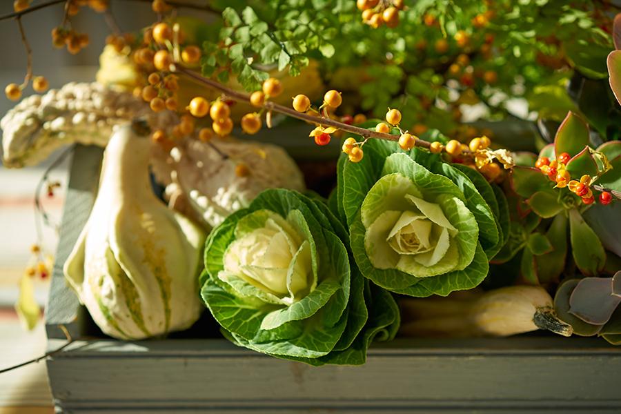 thanksgiving centerpiece ideas with Gourd Trug Close up