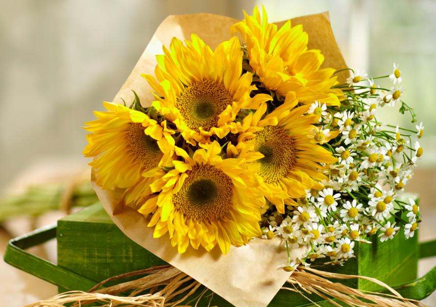 zodiac flowers with sunflowers