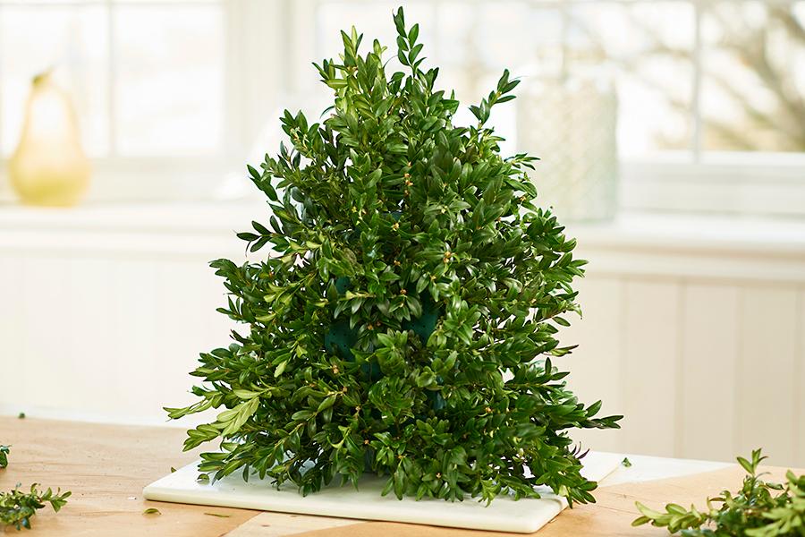 Fill in tree with greens