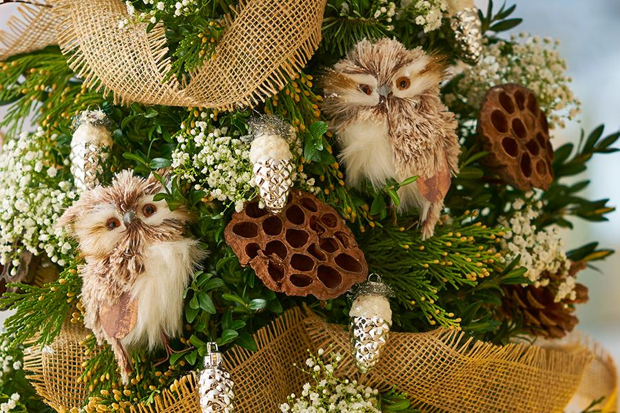 Closeup of owls in tree
