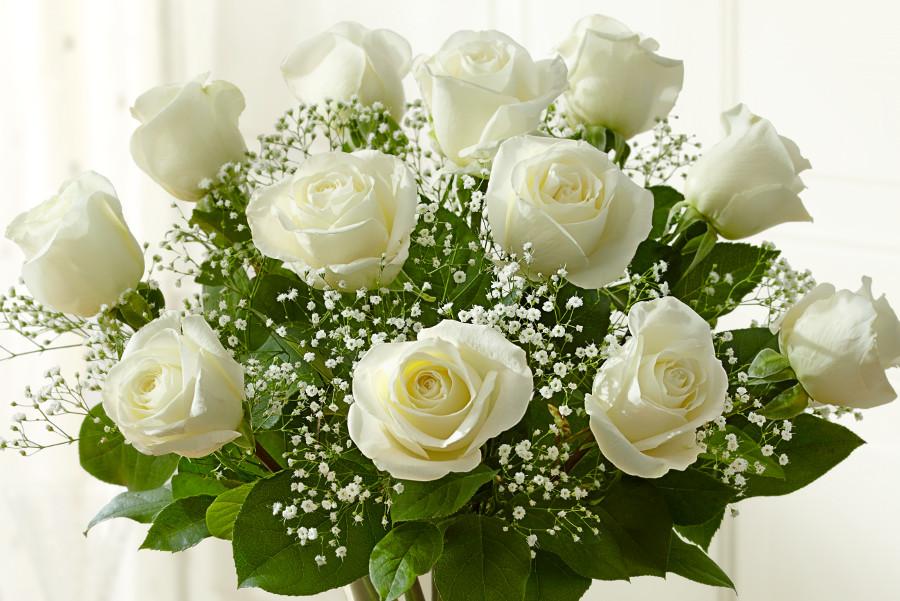 zodiac flowers with white roses