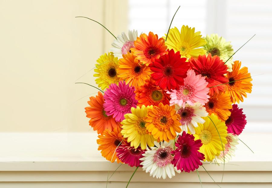 cheerful flowers with Gerbera daisies