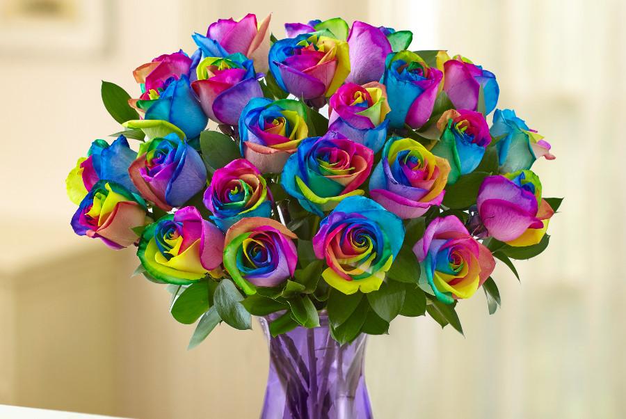 cheerful flowers with rainbow roses