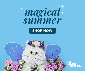 An ad for   Flowers.com's Magical Summer collection of flowers.