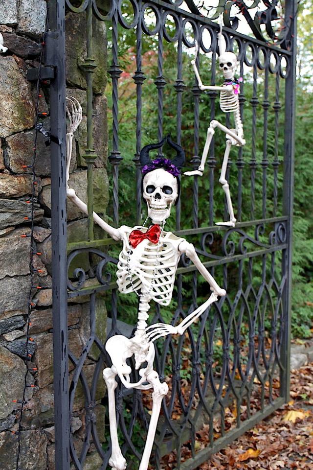 Halloween is the main holiday associated with October birthdays. Here is a photo of a spooky skeleton.
