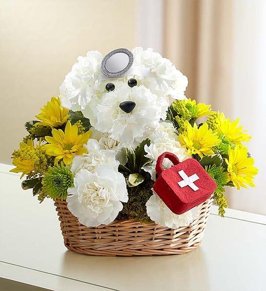 Photo of a get well doggie gift