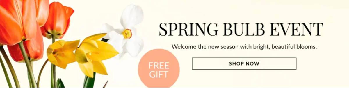 Picture of banner ad for spring bulb event