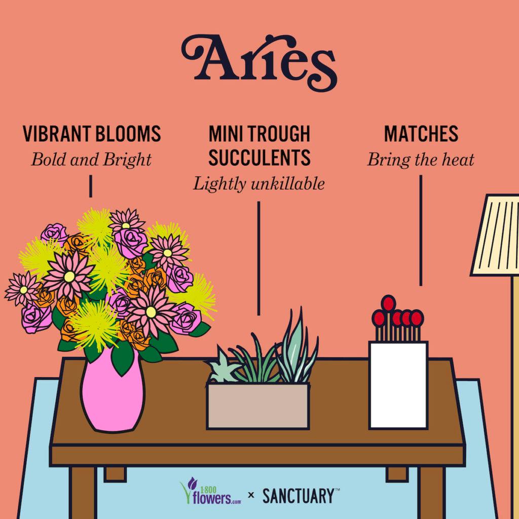 Illustration of zodiac compatibility Aries gifts