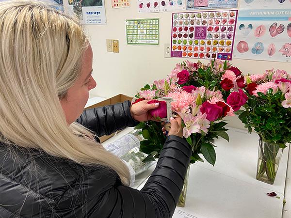 A flower expert measures the head of a rose, part of   Flowers.com's extensive QA procedures.