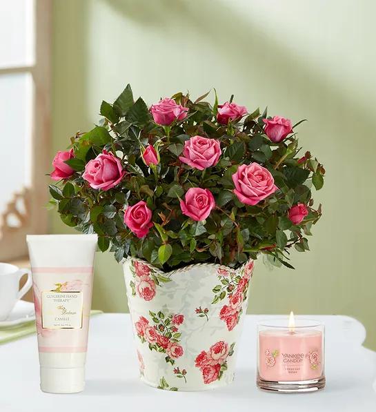 gifts for non traditional moms with classic budding rose