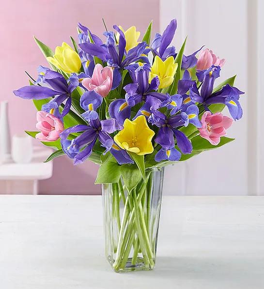 passover hostess gifts Spring Tulip Iris Bouquet
