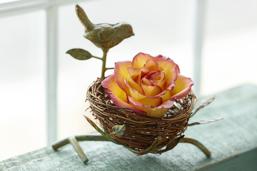 https://www.flowers.com/blog/wp content/uploads///wax rose in nest