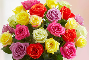 https://flowers.com/blog/wp content/uploads///Sorority roses multicolored