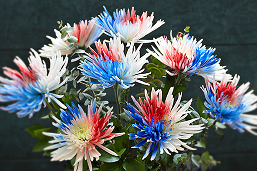 painted flowers with Firecracker Mums