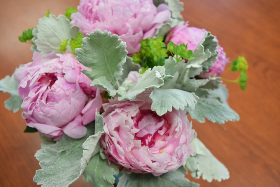 https://flowers.com/blog/wp content/uploads///peonies and dusty miller