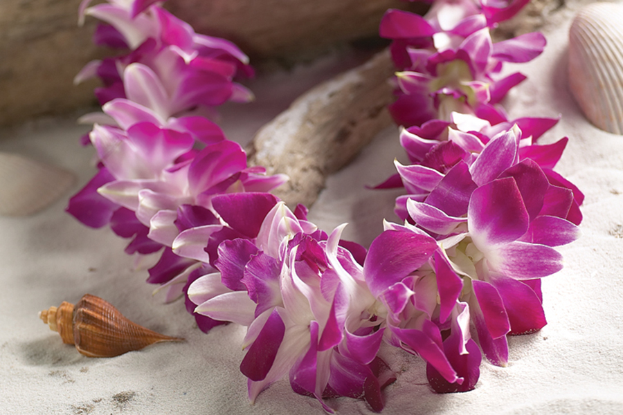 https://flowers.com/blog/wp content/uploads///completed lei