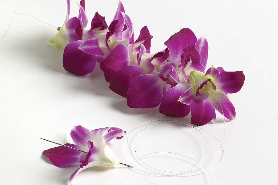 https://flowers.com/blog/wp content/uploads///orchid threading