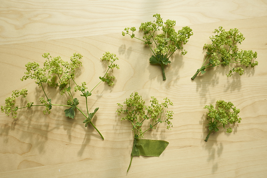 https://flowers.com/blog/wp content/uploads///wrap stems with floral tape