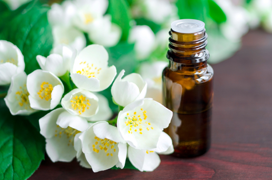 https://www.flowers.com/blog/wp content/uploads///jasmine flowers oil