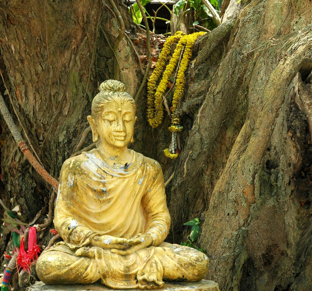 winter holidays with buddha statue