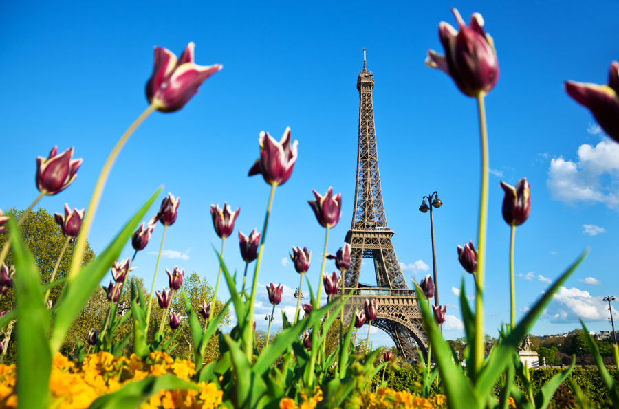 https://www.flowers.com/blog/wp content/uploads///eiffel tower paris