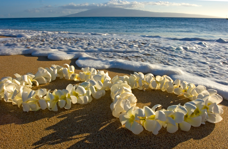 https://www.flowers.com/blog/wp content/uploads///hawaiian leis