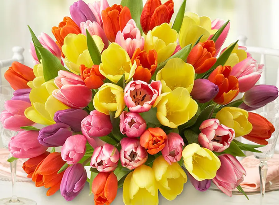 Most Cheerful Flowers to Brighten Someone's Day
