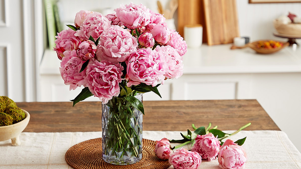 The Best Peonies for Cut Flowers