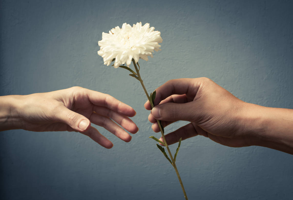 photo of International Day of Peace with handing out flowers