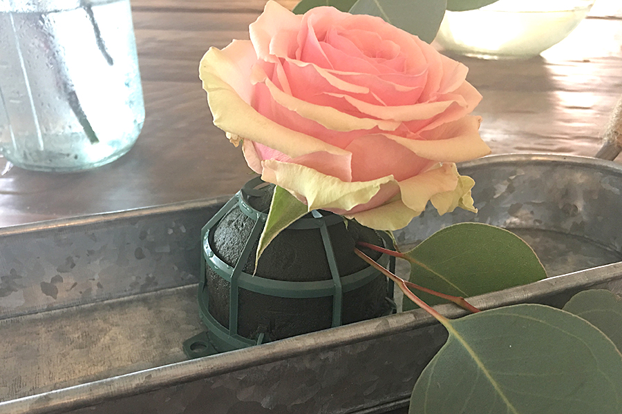 https://www.flowers.com/blog/wp content/uploads///add rose