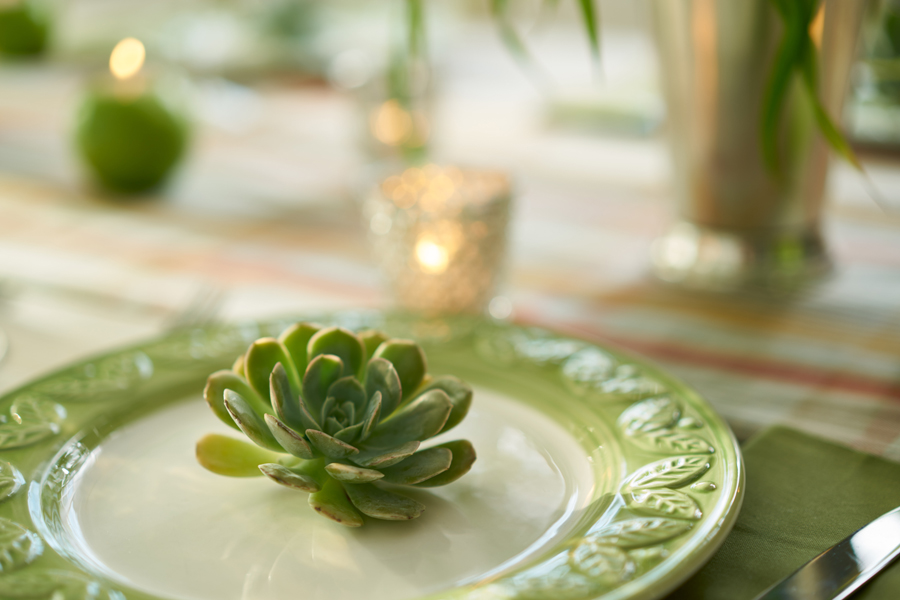 https://www.flowers.com/blog/wp content/uploads///cactus on a plate