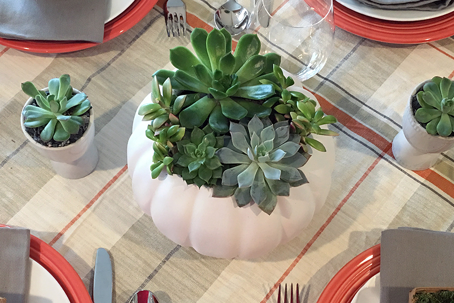 https://www.flowers.com/blog/wp content/uploads///succulent pumpkin