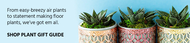 Plant Gift Guide Blog banner