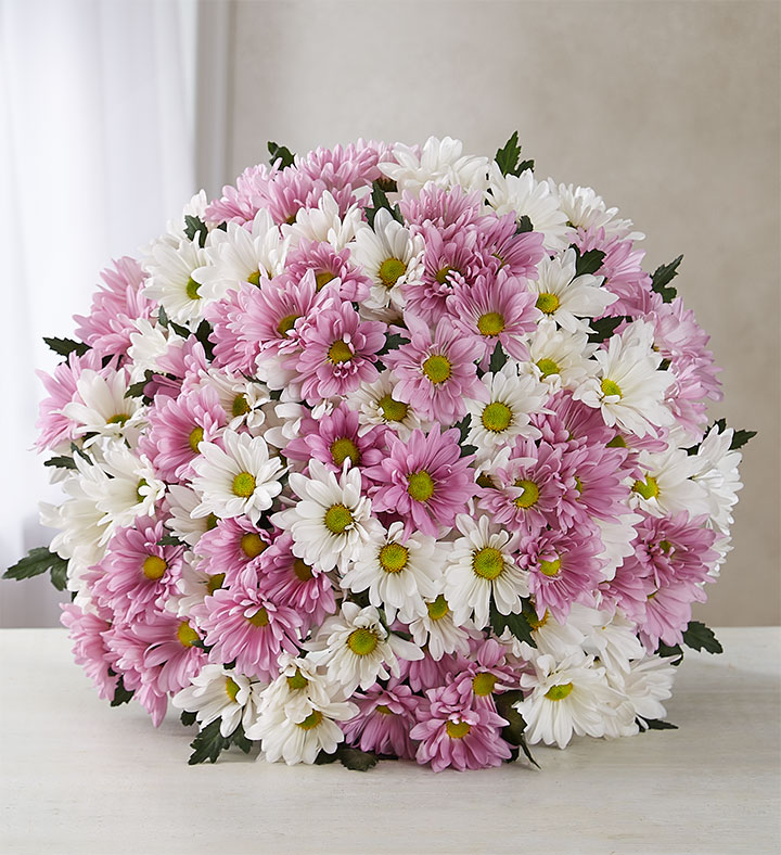 daisy-bouquet-flower-types