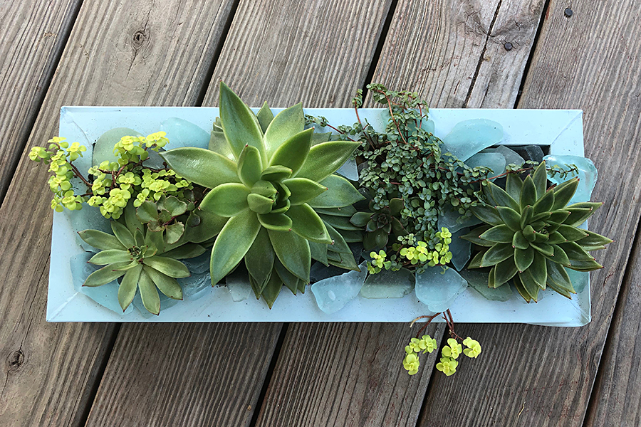 https://www.flowers.com/blog/wp content/uploads///plant container finished