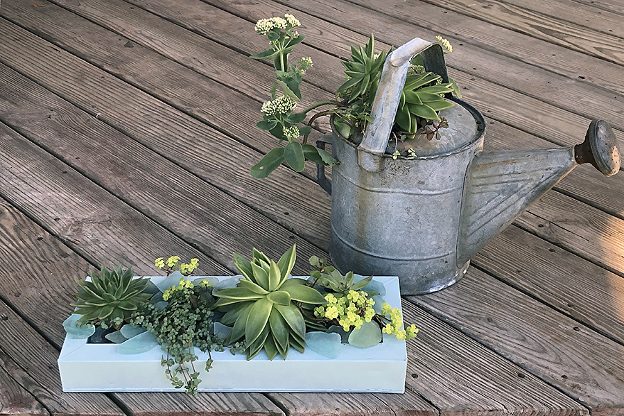 https://www.flowers.com/blog/wp content/uploads///plant containers