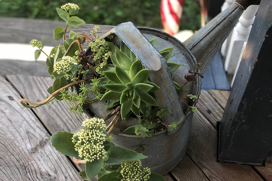 https://www.flowers.com/blog/wp content/uploads///plant watering can