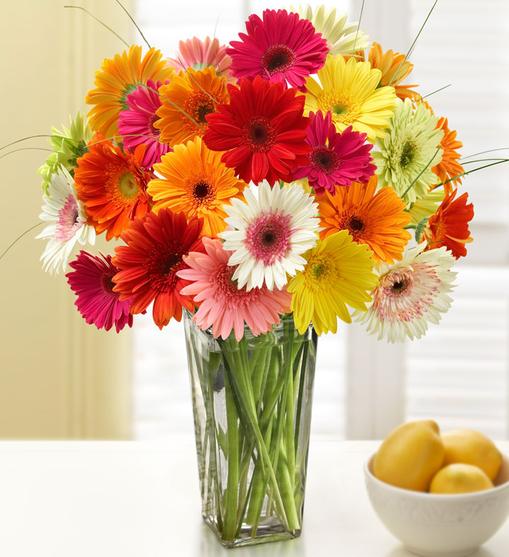 gerbera daisy arrangement