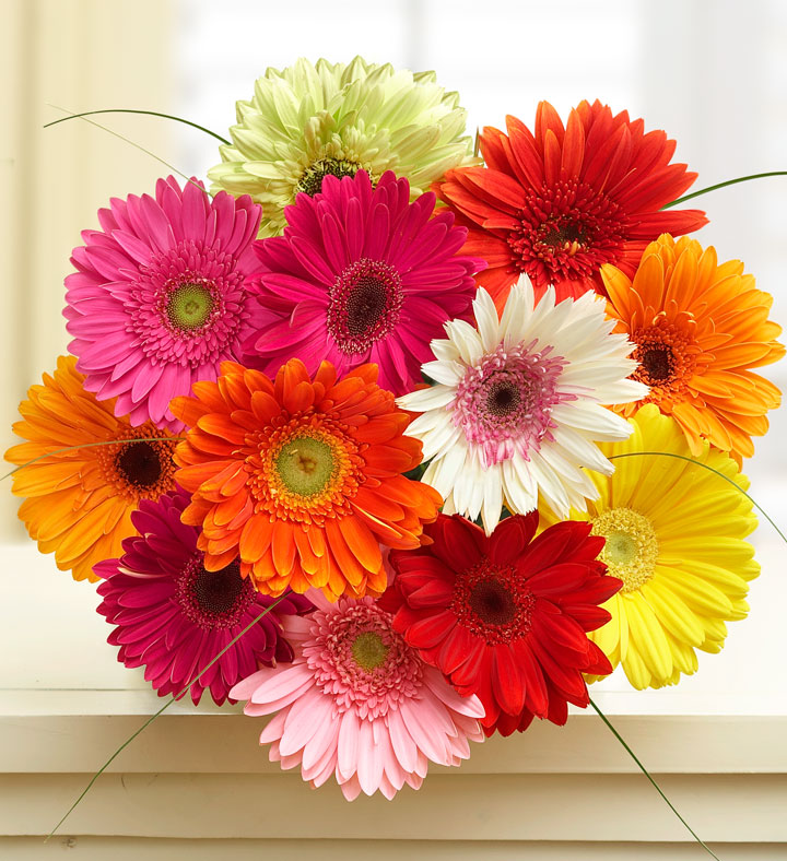 gerbera daisy bouquet