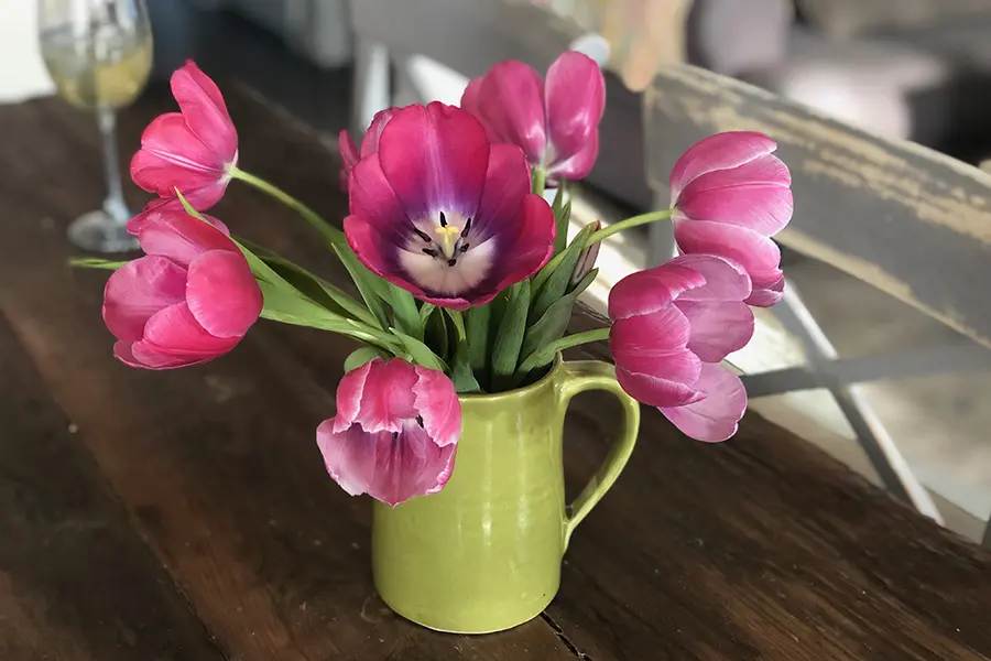Spreading Hope with Tulips | 1-800-Flowers.com | Petal Talk