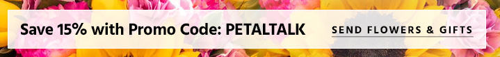 Promo de PetalTalk