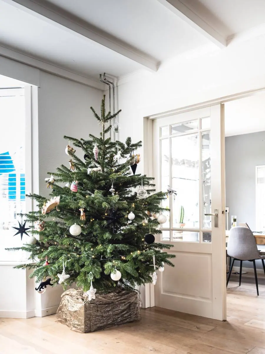 Office Christmas Decorations & Ideas | Petal Talk