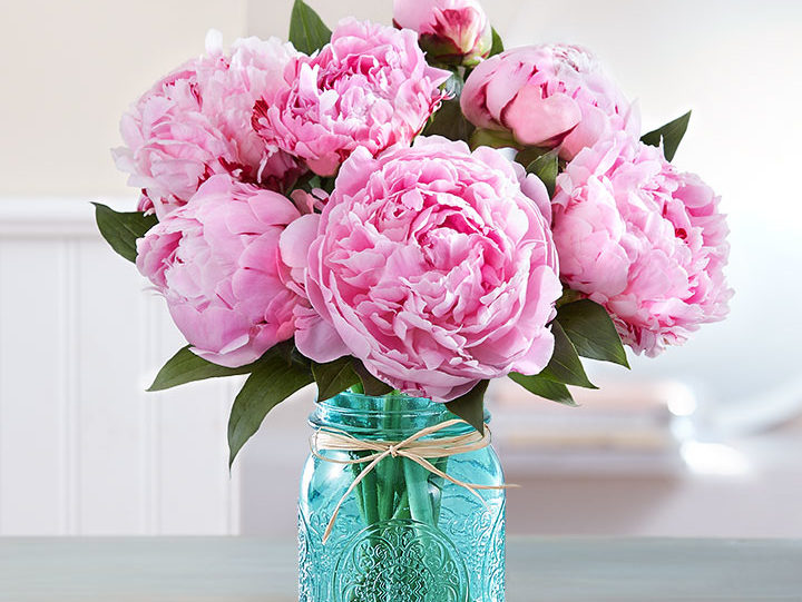 peonies-flower-types